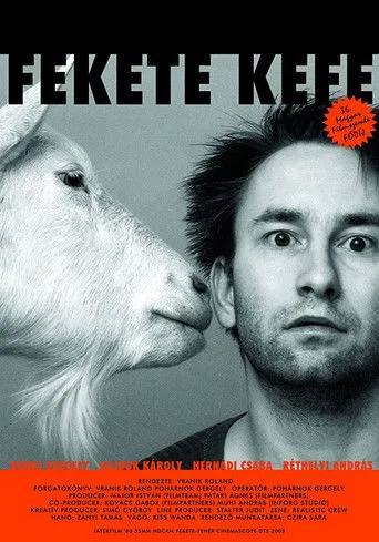 Póster de Fekete kefe