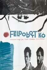 Portada de Feldobott kő
