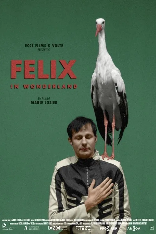 Felix Kubin interpreta a Self en Felix in Wonderland