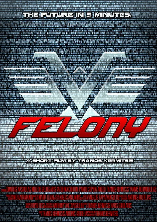 Póster de la película Felony
