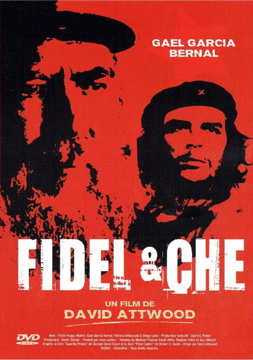 Póster de Fidel Castro