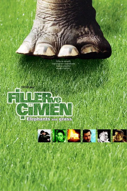 Póster de Filler ve Çimen