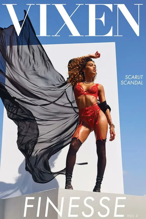 Póster de Finesse 2