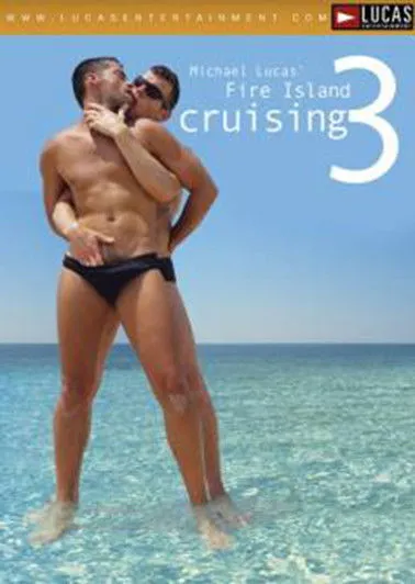 Póster de Fire Island Cruising 3