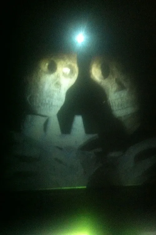 Jenjira Pongpas interpreta a en Fireworks (Archives)