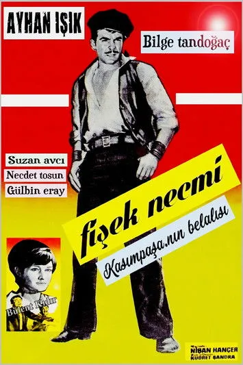 Portada de Fişek Necmi