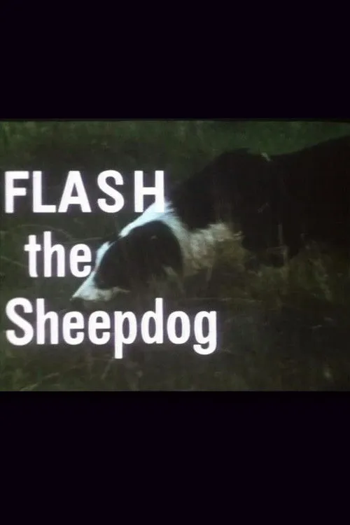 Victor Carin interpreta a en Flash the Sheepdog