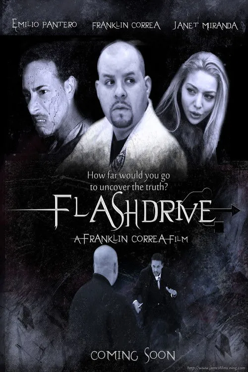 Póster de Flashdrive