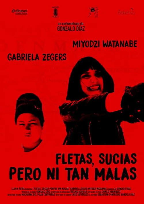 Gabriela Zegers interpreta a Luisa Malizia en Fletas, sucias pero ni tan malas