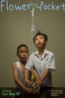 Póster de Flower in the Pocket