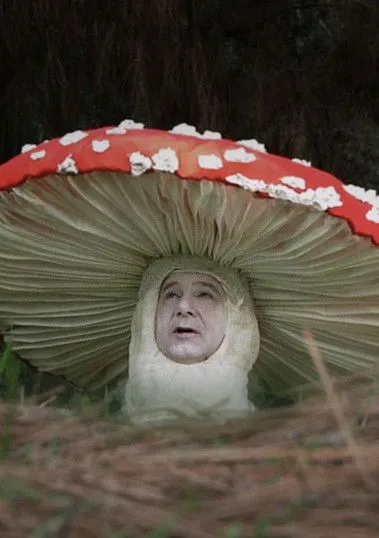 Jan Johnson interpreta a The Fly Amanita en Fly Amanita