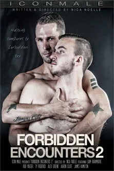Póster de Forbidden Encounters 2