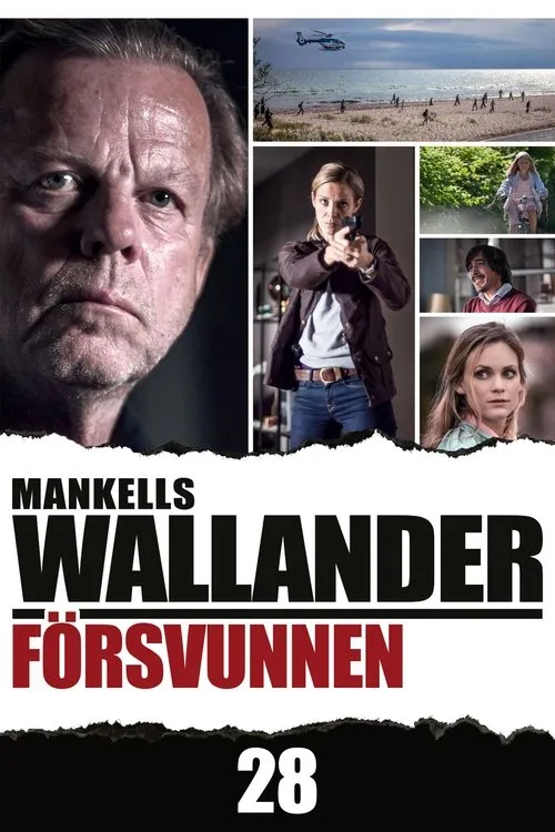 Póster de Försvunnen