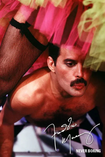 Póster de Freddie Mercury: Never Boring
