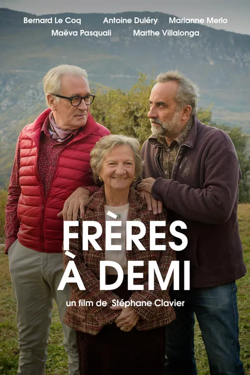 Póster de la película Frères à demi