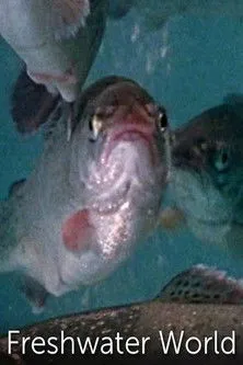 Stanley Jackson interpreta a Narrator en Freshwater World