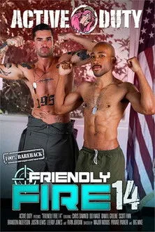Póster de la película Friendly Fire 14