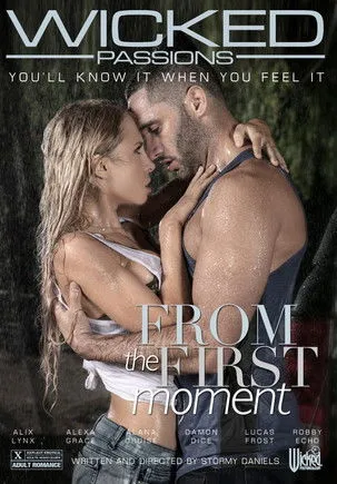 Póster de From the First Moment