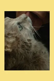 Póster de la película Fructose