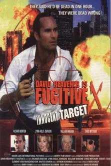 Póster de Fugitive X: Innocent Target