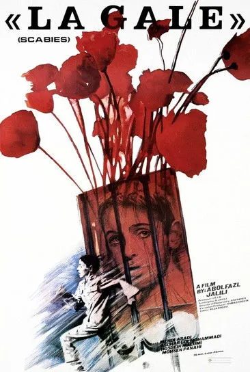 ???? ????? interpreta a  en Gaal