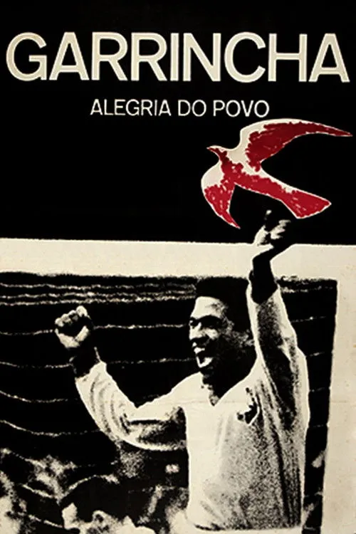 Póster de la película Garrincha - Alegría del Pueblo