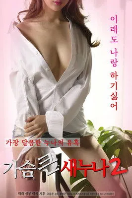 Póster de 가슴 큰 새 누나 2