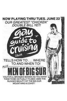 Póster de la película Gay Guide to Cruising