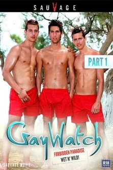 Póster de Gaywatch