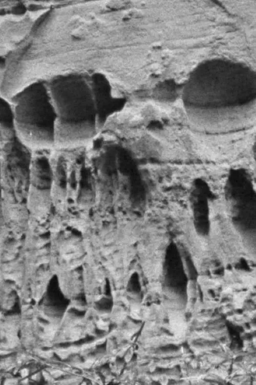 Marcia Farquhar interpreta a en Ghost Strata