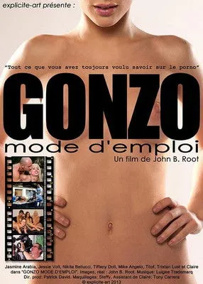 Póster de Gonzo mode d'emploi