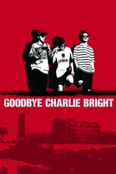 Póster de Goodbye Charlie Bright