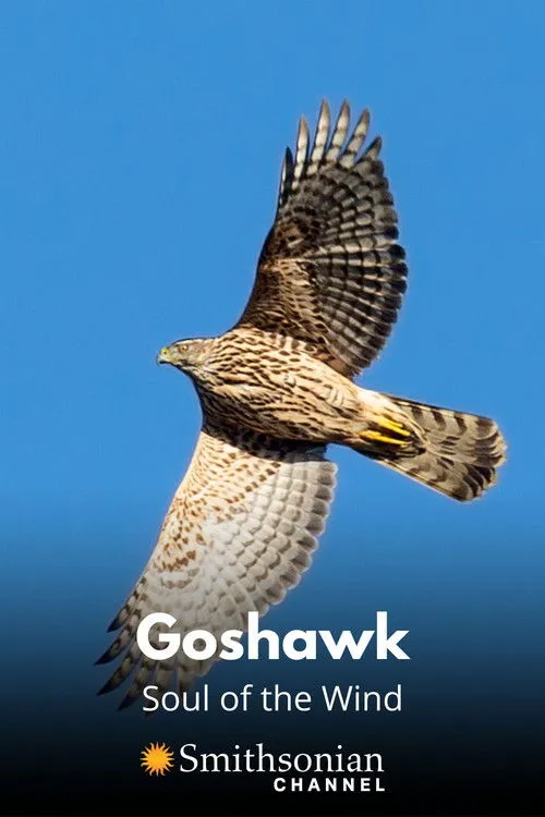 Póster de Goshawk - Soul of the Wind