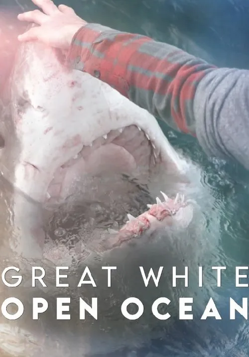Brandon McMillan interpreta a Self en Great White Open Ocean
