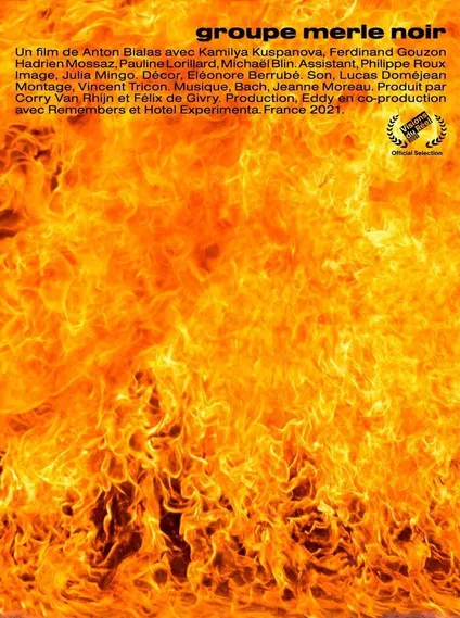 Póster de la película Groupe merle noir