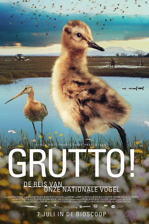 Gijs Scholten van Aschat interpreta a Narrator en Grutto! De reis van onze nationale vogel