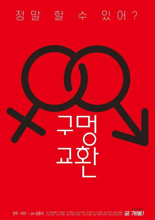 Póster de 구멍 교환