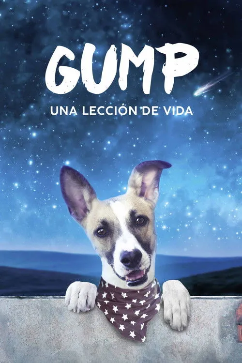 Póster de Gump - Una Lección de Vida