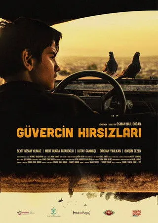 Póster de Güvercin Hırsızları