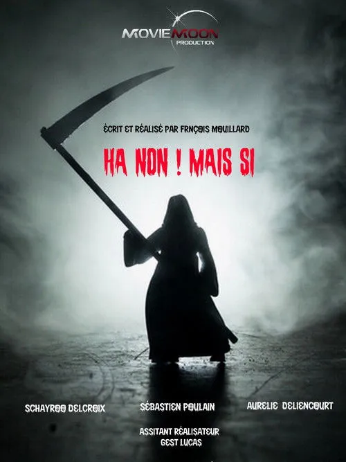 Póster de la película Ha non ! Mais si