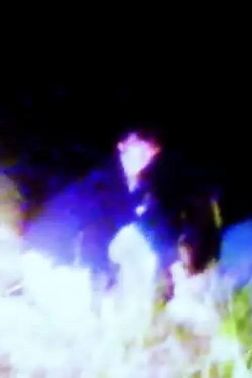 Tess Nealon Raskin interpreta a  en Hairpin Turn