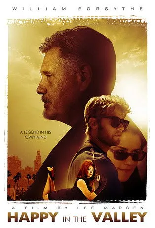 Póster de Happy in the Valley