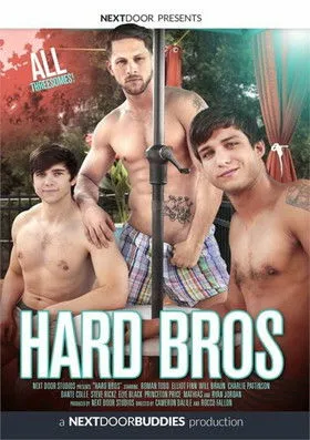 Póster de Hard Bros