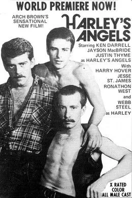 Póster de la película Harley's Angels