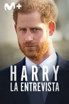 Póster de Harry: la entrevista