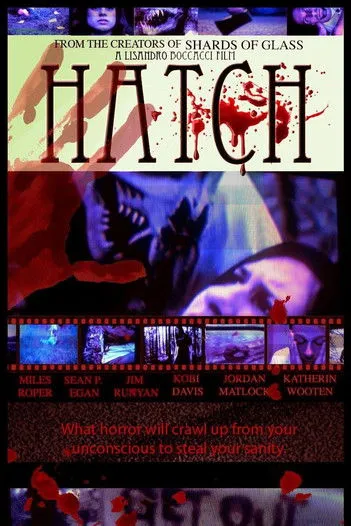 Póster de Hatch