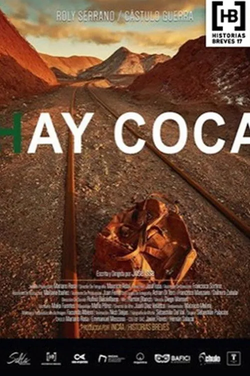Póster de Hay coca