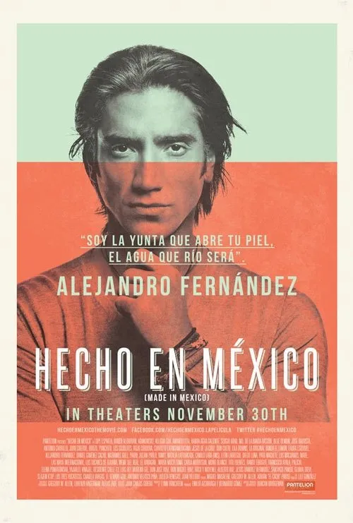 Póster de Hecho en México