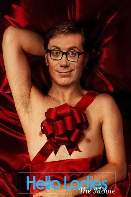 Póster de Hello Ladies: la película