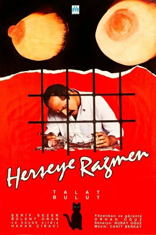 Serif Sezer interpreta a Ayse en Her Şeye Rağmen